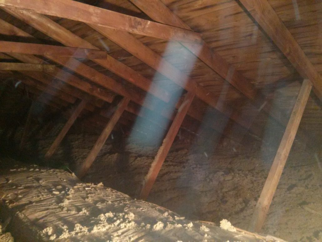 T&M Protective Insulation